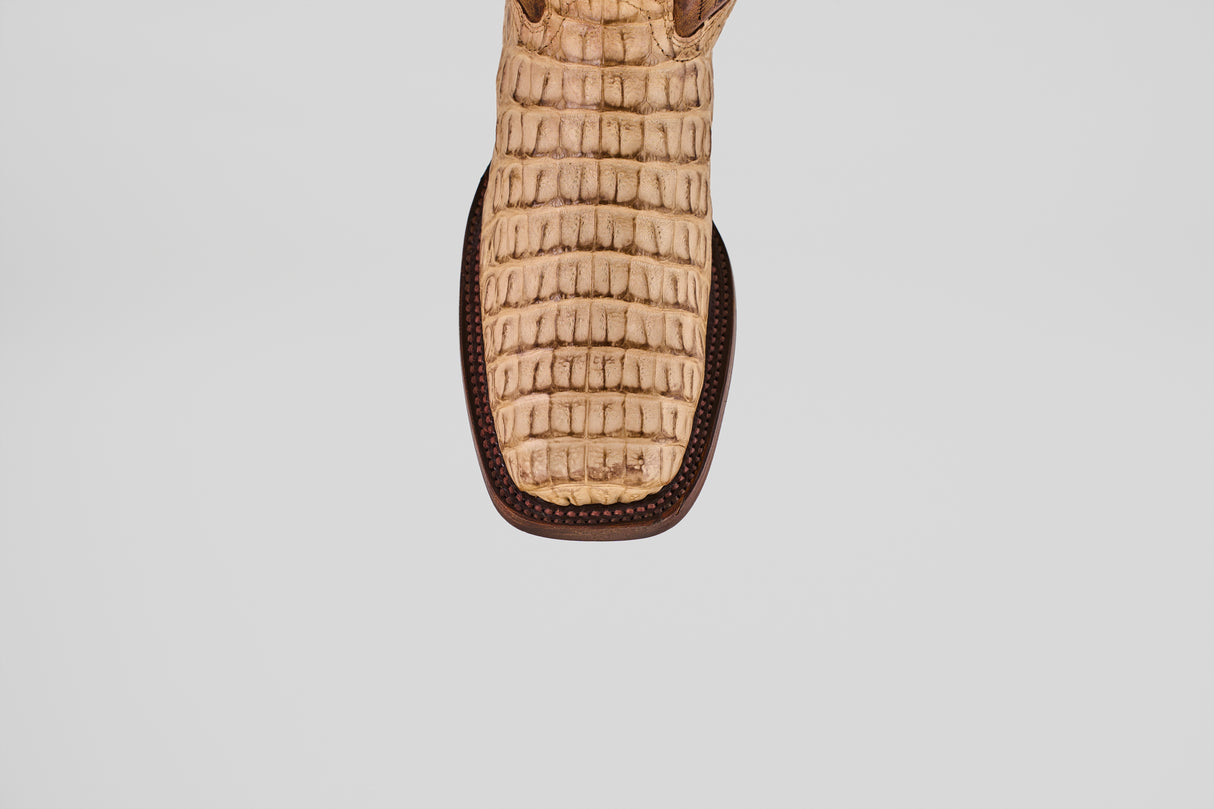 A close-up top view of the Exotic Caiman Hornback - Orix - Rodeo Toe, a brown, square-toed handcrafted cowboy boot made from caiman skin against a plain white background.