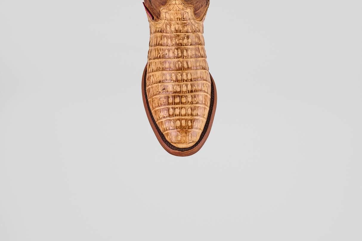 Exotic Caiman Belly - Fawn - Round Toe