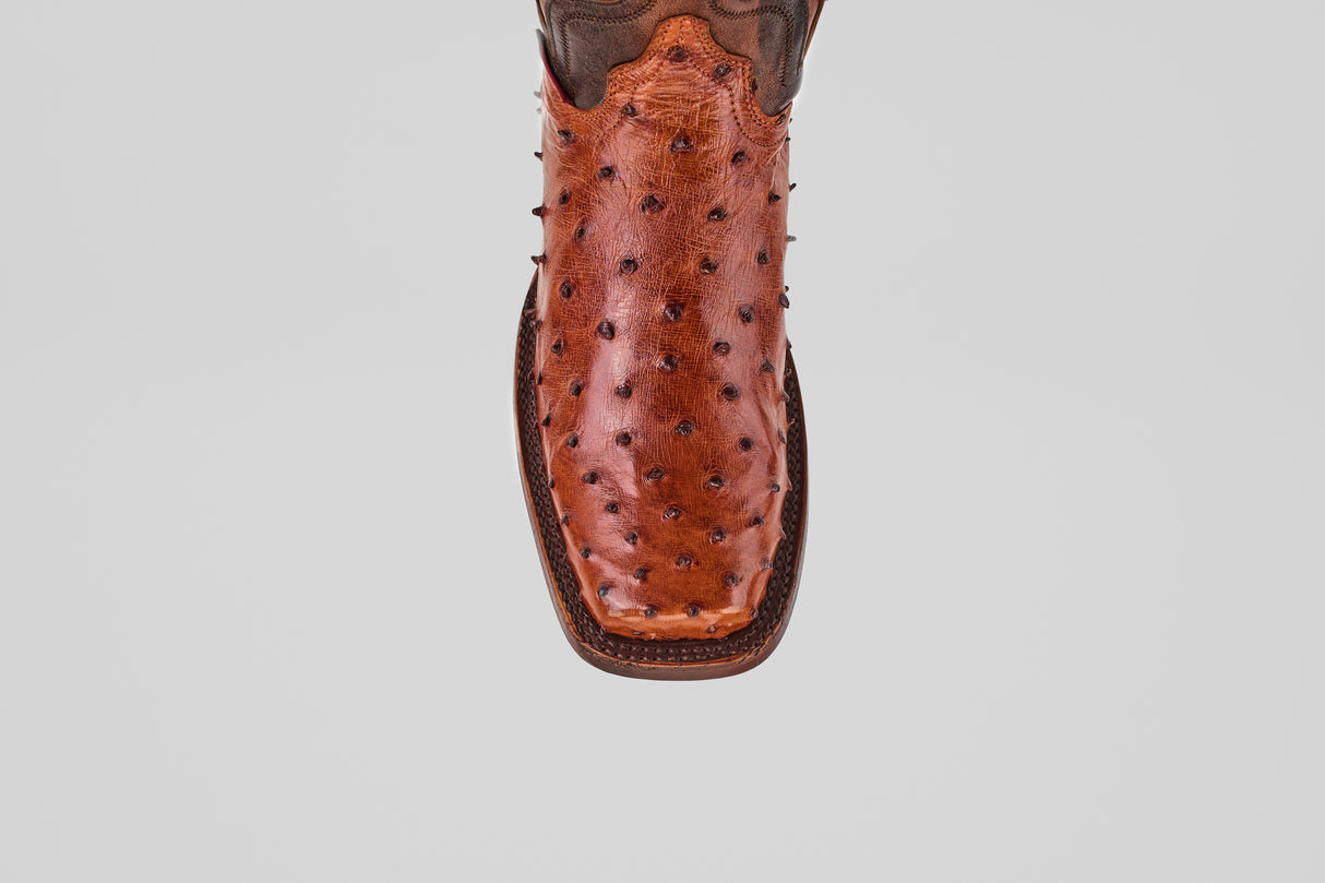 A close-up, top-down view of the Exotic Ostrich - Brandy - Rodeo Toe boot, made from genuine ostrich leather with a square toe and textured surface, set against a plain white background.