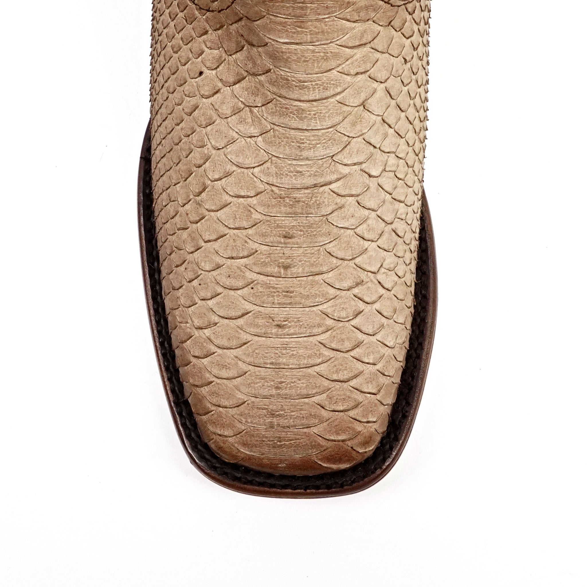 Tanner Platinum Python Boots - Cappuccino - Square Toe
