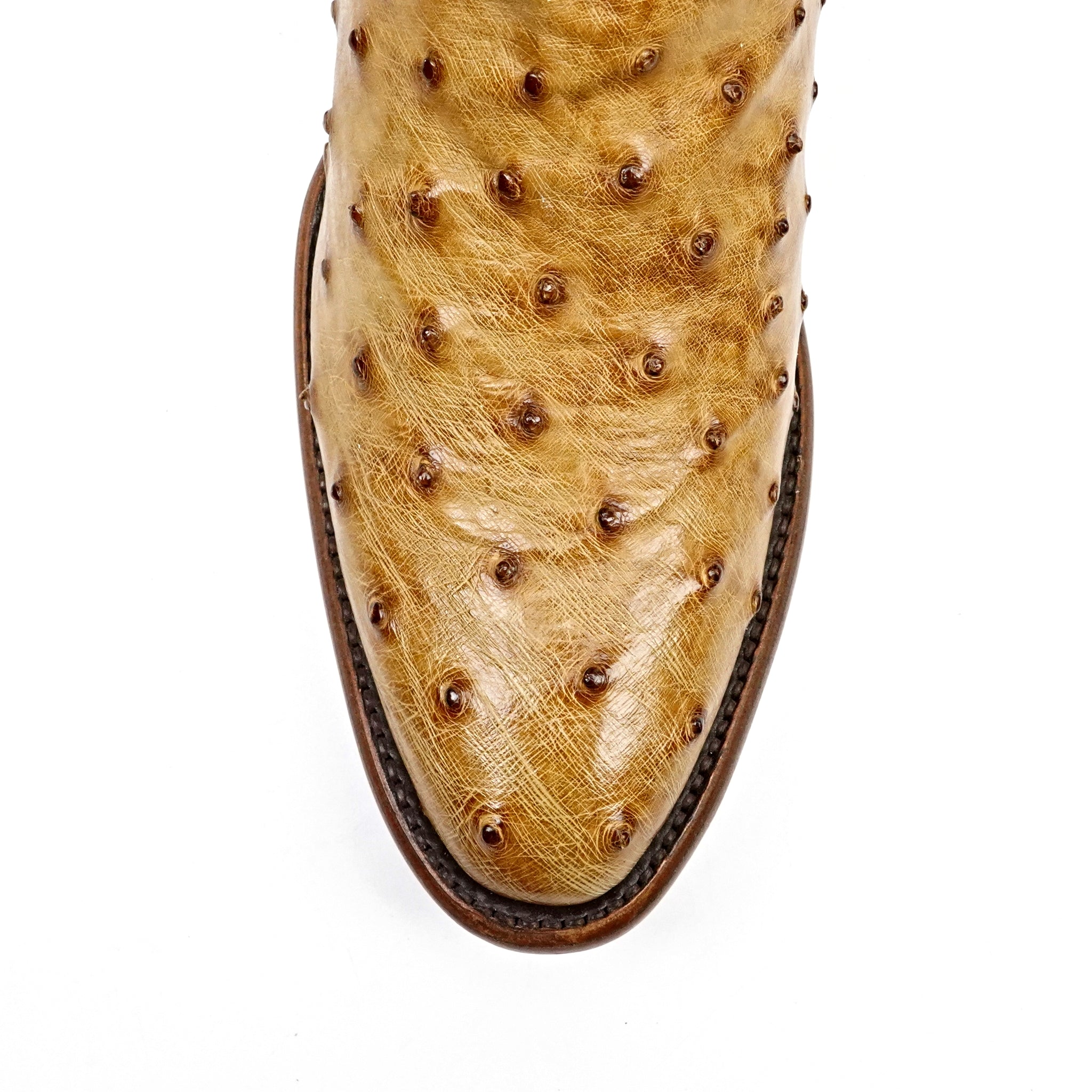 AV230 Avestruz Paja H-Oval