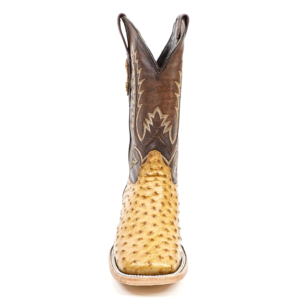 Austin - Beige - Puntera Cuadrada
