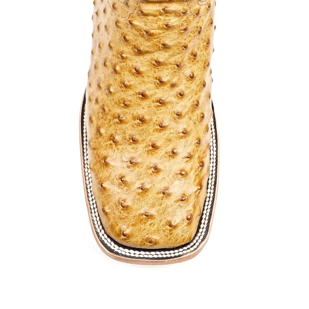 Austin - Beige - Puntera Cuadrada