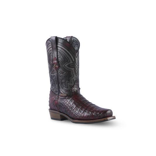 Promo Texas Country Exotic Boot Caiman Belly Ext. Black Cherry Patrick NS1