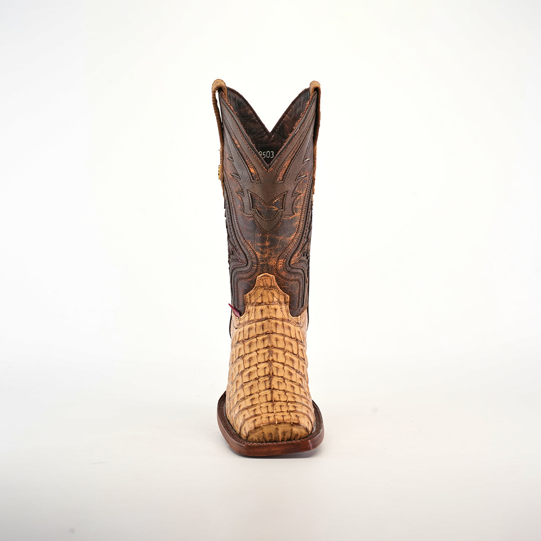 A single Exotic Caiman Hornback - Antique - Rodeo Toe boot with a woven tan leather toe and detailed dark brown shaft, featuring decorative stitching, displayed on a plain white background.