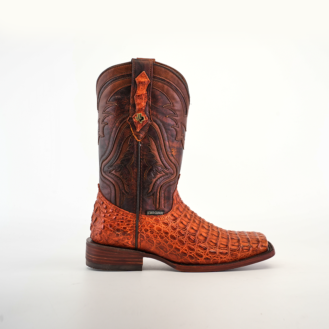 A single Exotic Caiman Hornback boot, in Brandy with Rodeo Toe, crafted from genuine caiman leather. It features intricate stitching and a decorative pattern, sports a reddish-brown hue with a slightly pointed toe and low heel, all set against a plain white background.