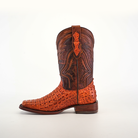 The Exotic Caiman Hornback - Brandy - Rodeo Toe cowboy boot, crafted from genuine caiman leather, features intricate stitching and a detailed textured pattern on the lower half. It appears in rich brown with orange accents against a white background.