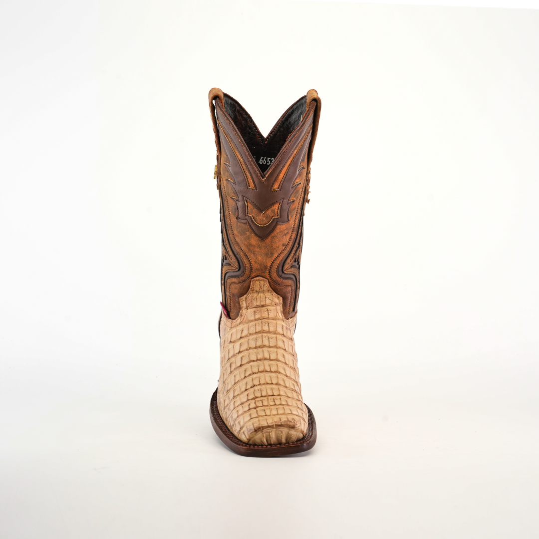 The Exotic Caiman Hornback - Orix - Rodeo Toe is a single cowboy boot made from premium leather, showcasing a light tan, textured lower and a darker brown, intricate design on the upper shaft against a plain white background.