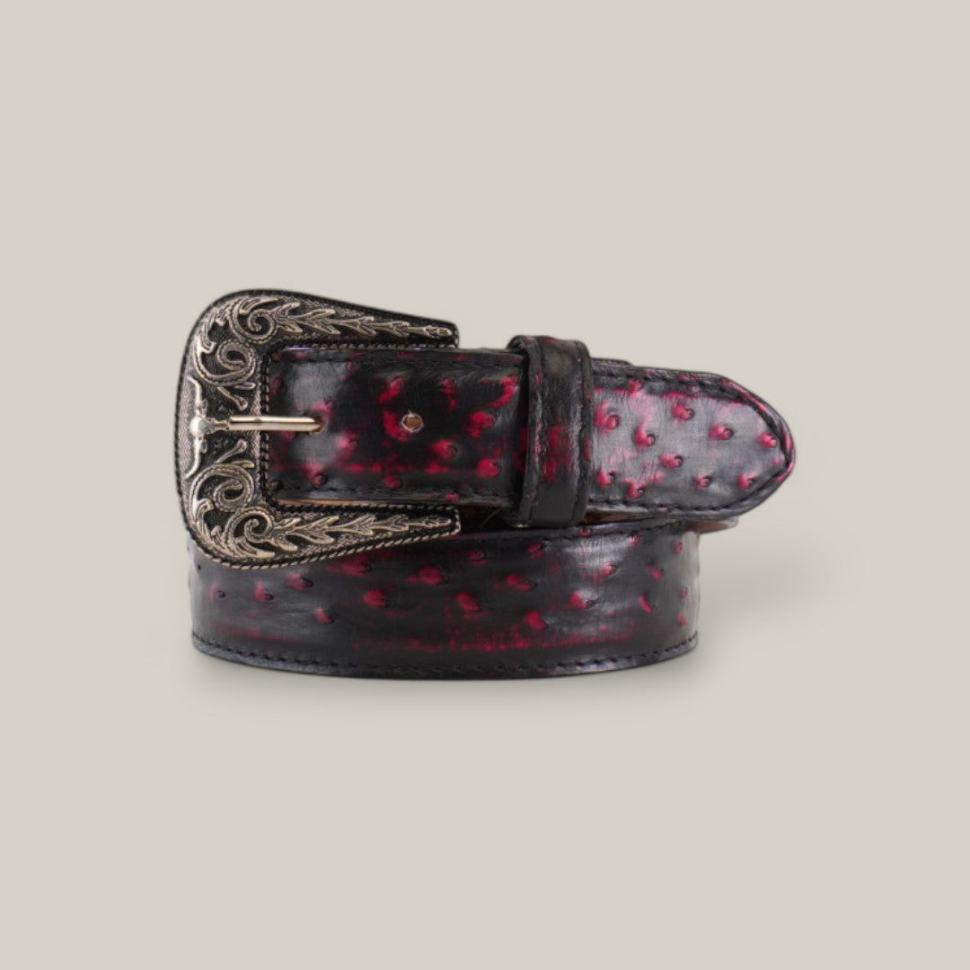 An Exotic Full Quilt Ostrich - Texas Buckle - Black Cherry Belt showcases a rolled exotic leather with red speckles and an ornate silver buckle with intricate engravings, set against a plain off-white background.