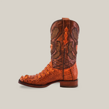 The Exotic American Alligator Head - Cogñac - Square Toe boot boasts a single cowboy style with intricate multi-textures, featuring bright orange alligator scales on the foot and a brown detailed upper. Its handmade with a low heel, pull tab, and appears against a plain beige background.