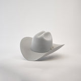 The 10X Jerarca Platinum, a gray fur felt cowboy hat with a wide brim and decorative band, exudes classic western style against a plain white backdrop.