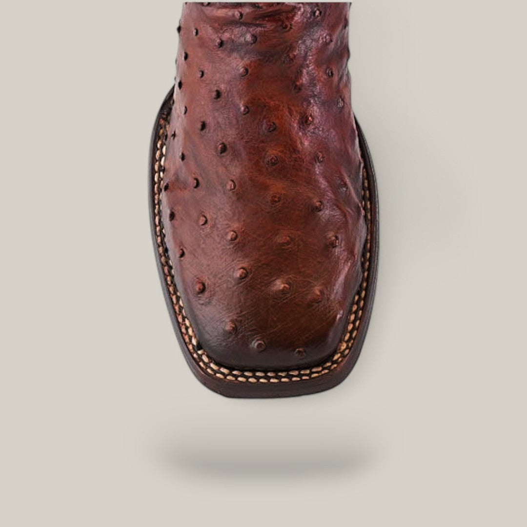 Top view of the Moroni Chestnut Ostrich Laser & Embroidery boot (CU457), showcasing a square toe and detailed stitching, on a plain beige background.