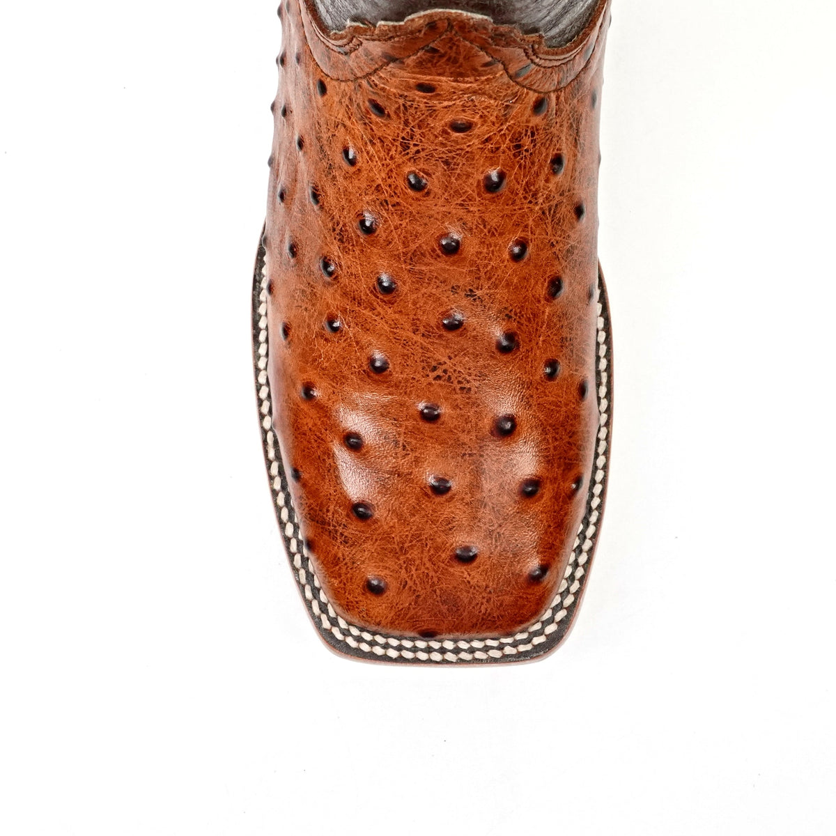 Ostrich Cognac Boots (Youth) - Square Toe (E424) - Gomez Western Wear