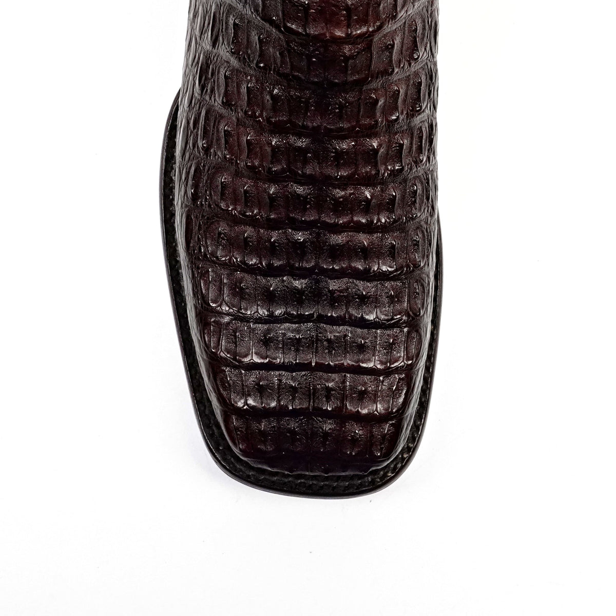 Rhodes Platinum Caiman Hornback Boots - Espresso Brown - Square Toe - Gomez Western Wear