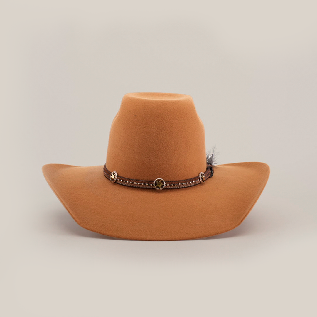 The 6X Brazil Fawn is a brown wide-brimmed cowboy hat crafted from genuine sheep wool, featuring a premium leather band with metal accents and a small feather on one side, displayed against a plain white background.