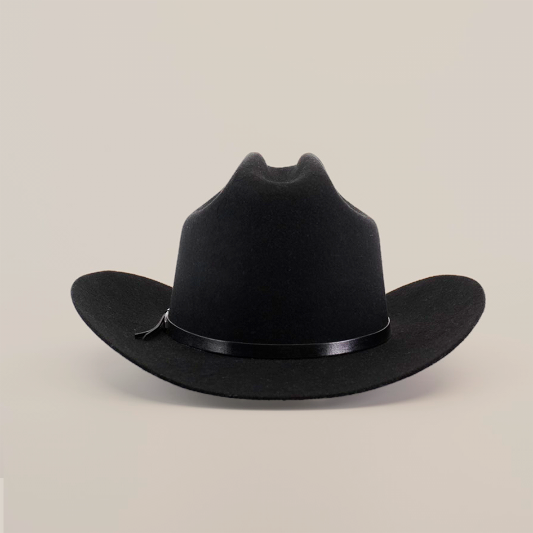 The X 2 Carnales Black, a cowboy hat made from premium sheep wool, showcases a wide brim and a sleek black band set against a plain white background.